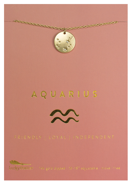 Aquarius Necklace
